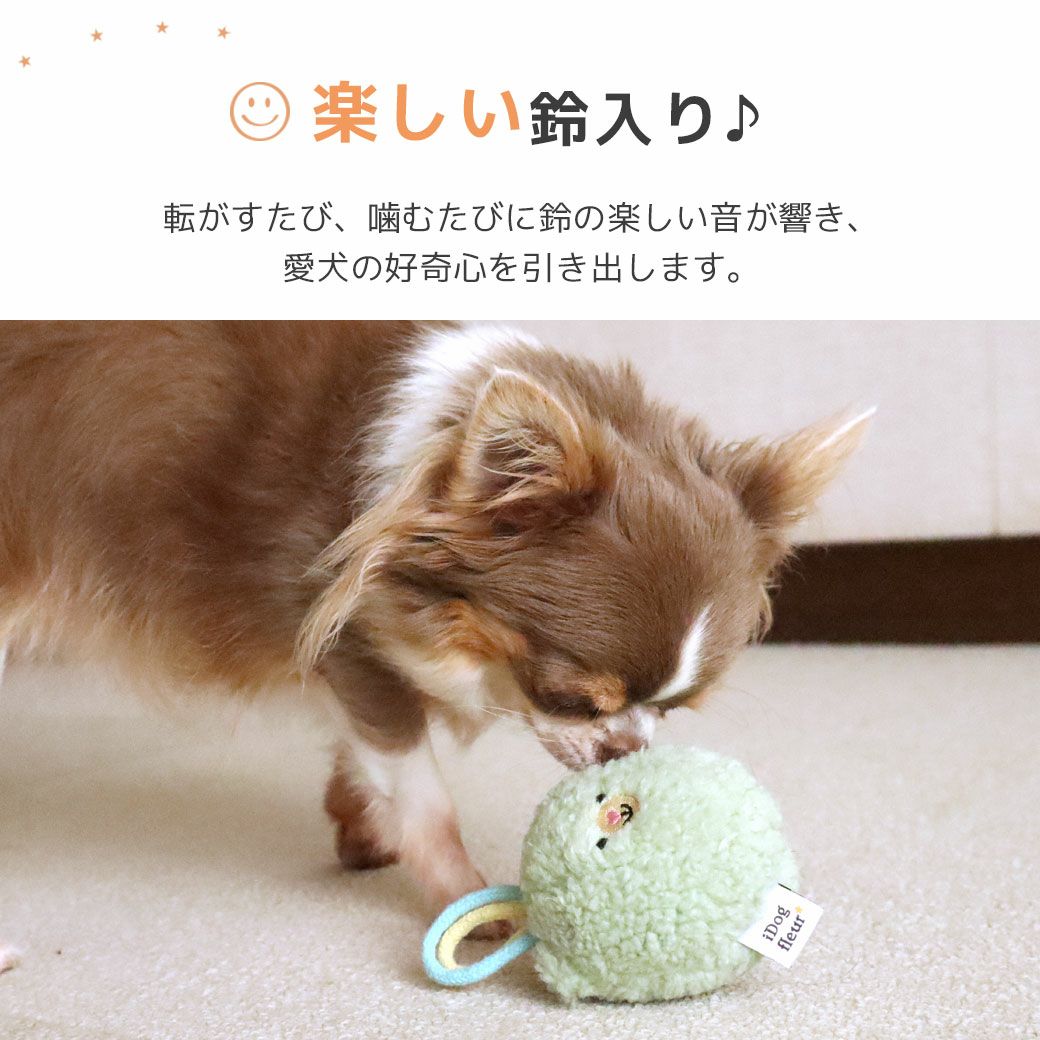 鈴の楽しい音が響き、わんこが夢中に