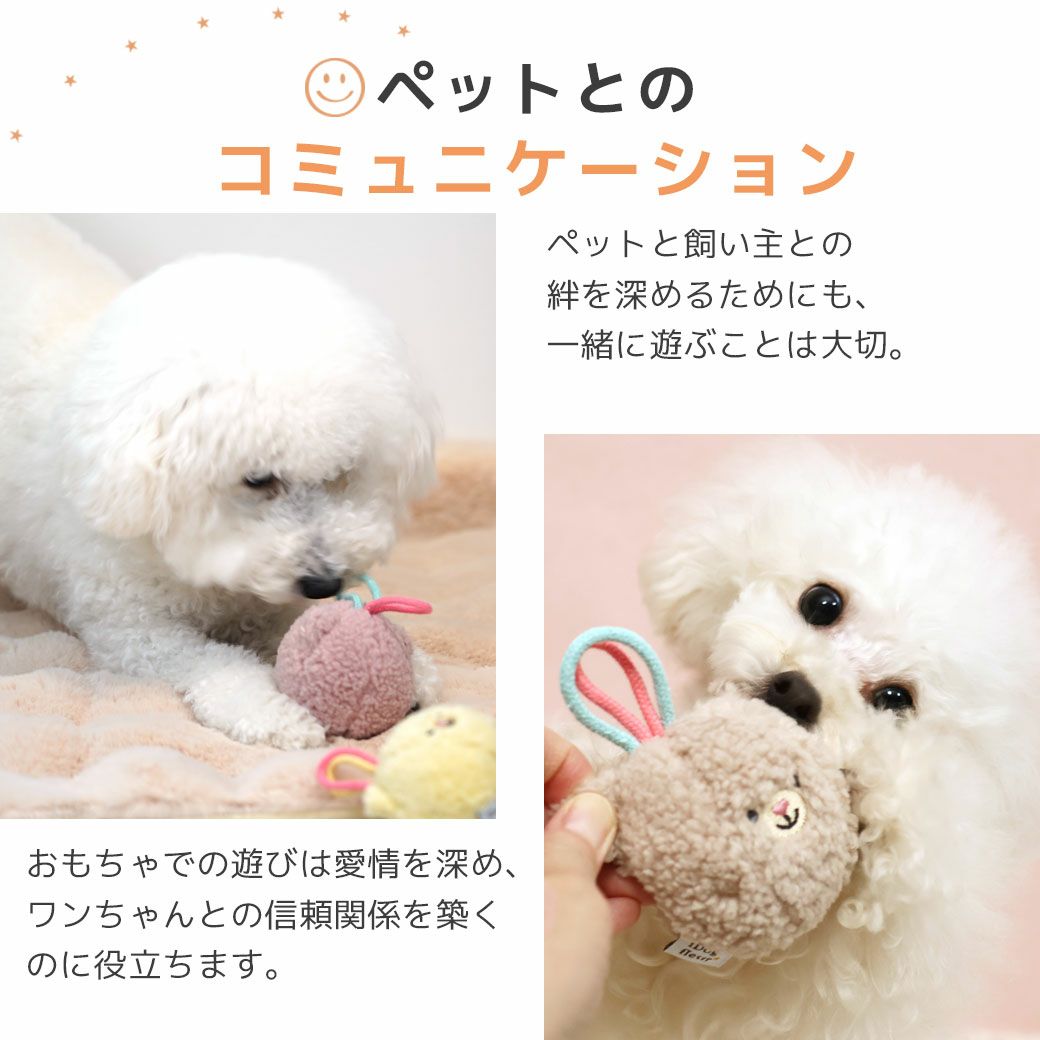 おもちゃ遊びでワンちゃんとなかよくなろう