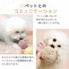 チワワ2.0kgのロキくんはオフホワイト/ピンク/ブルーで遊んでくれました