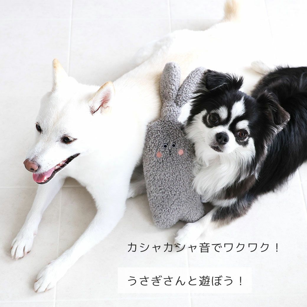 IDOG&ICATiToyラビットカシャカシャ入りアイドッグ