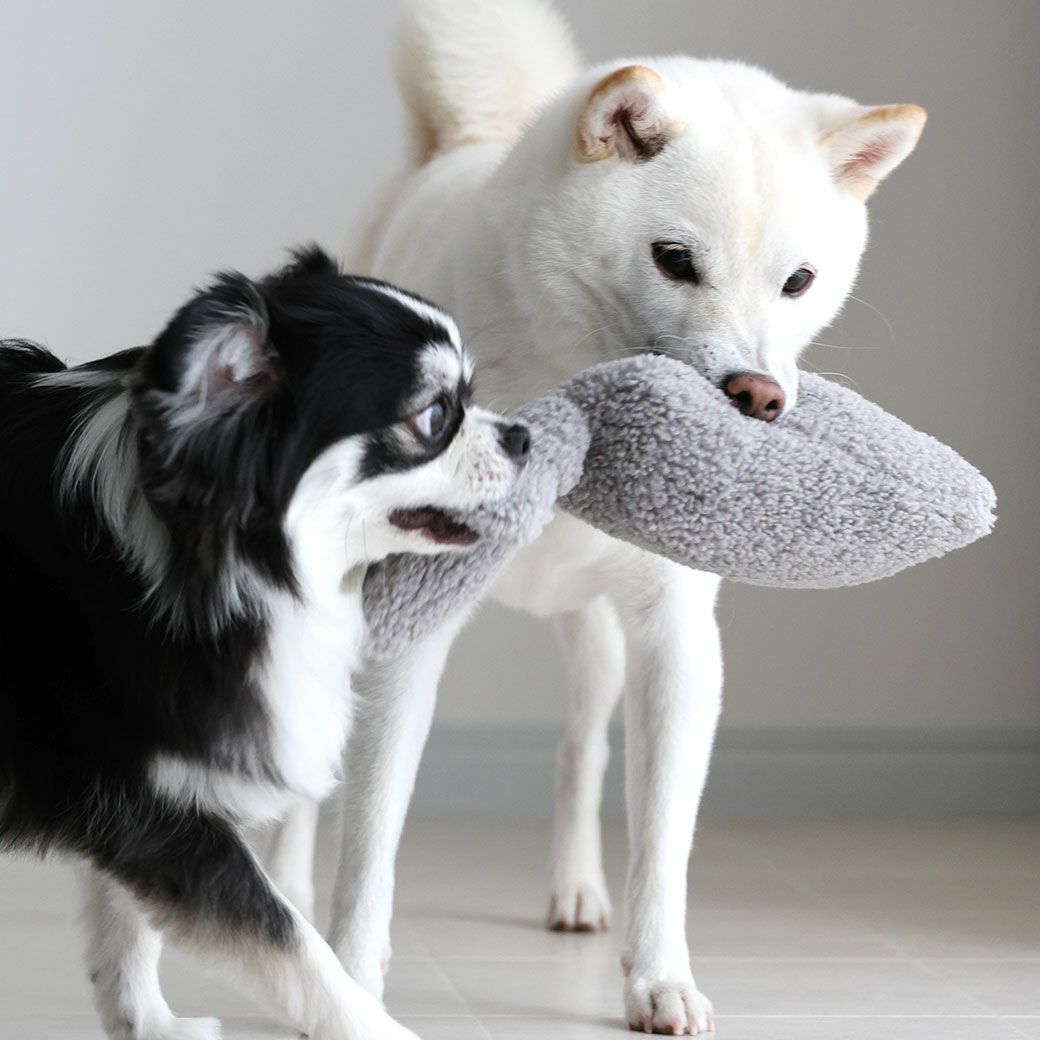 うさぎの形をしたペット用ぬいぐるみおもちゃ