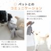 おもちゃでの遊びは愛情を深め