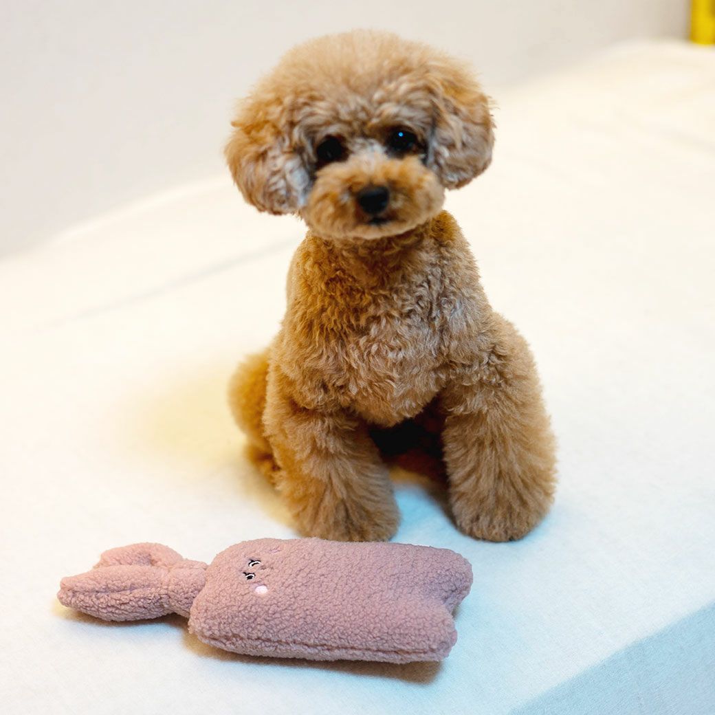 トイプードル4.5kg(首26/胴40.5/丈30cm)の里梨衣ちゃんはピンクを使用