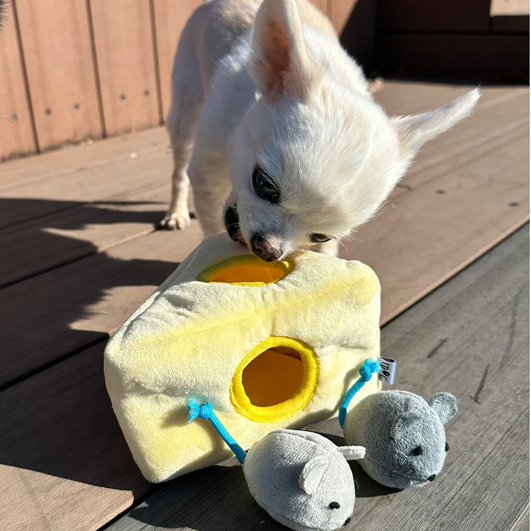 iDog 知育トイ チーズとネズミ カシャカシャと鳴き笛入り アイドッグ