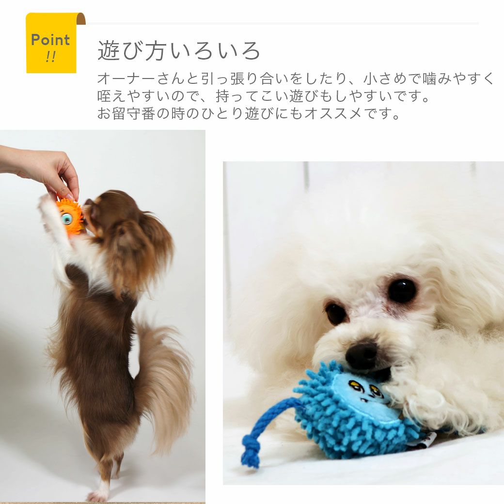 鳴き笛入りで夢中になります