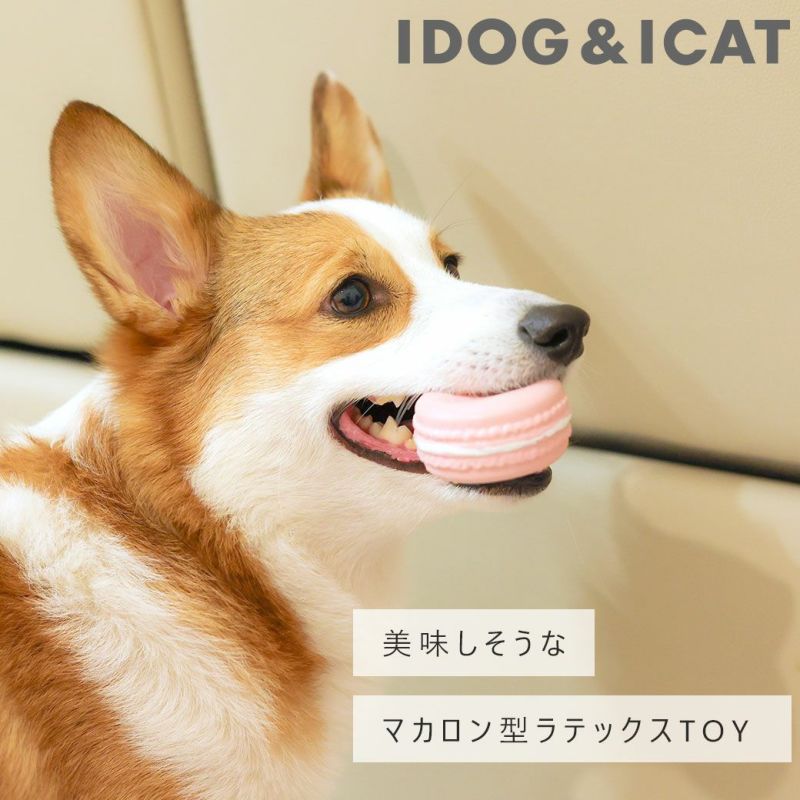 手品 Anverdi Magical Dog2「おもちゃの犬がカードを当てる」 iDog ラテックスTOY マカロン アイドッグ アイドッグ-犬猫用品