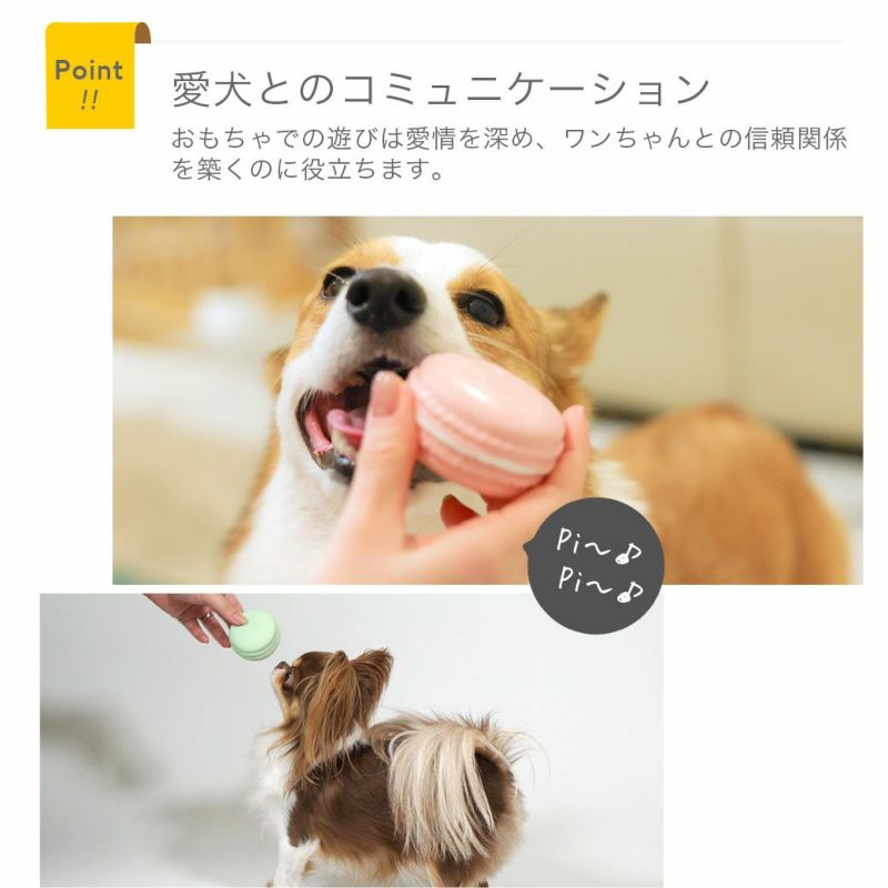 iDog ラテックスTOY マカロン アイドッグ アイドッグ-犬猫用品