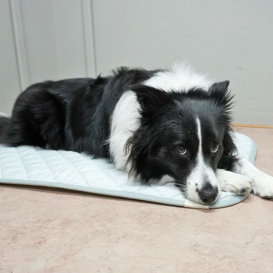 体に優しくフィット