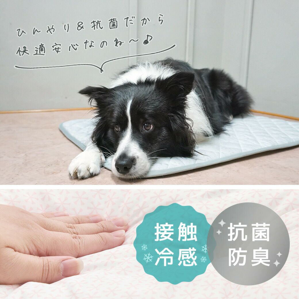 抗菌・防臭で夏も快適