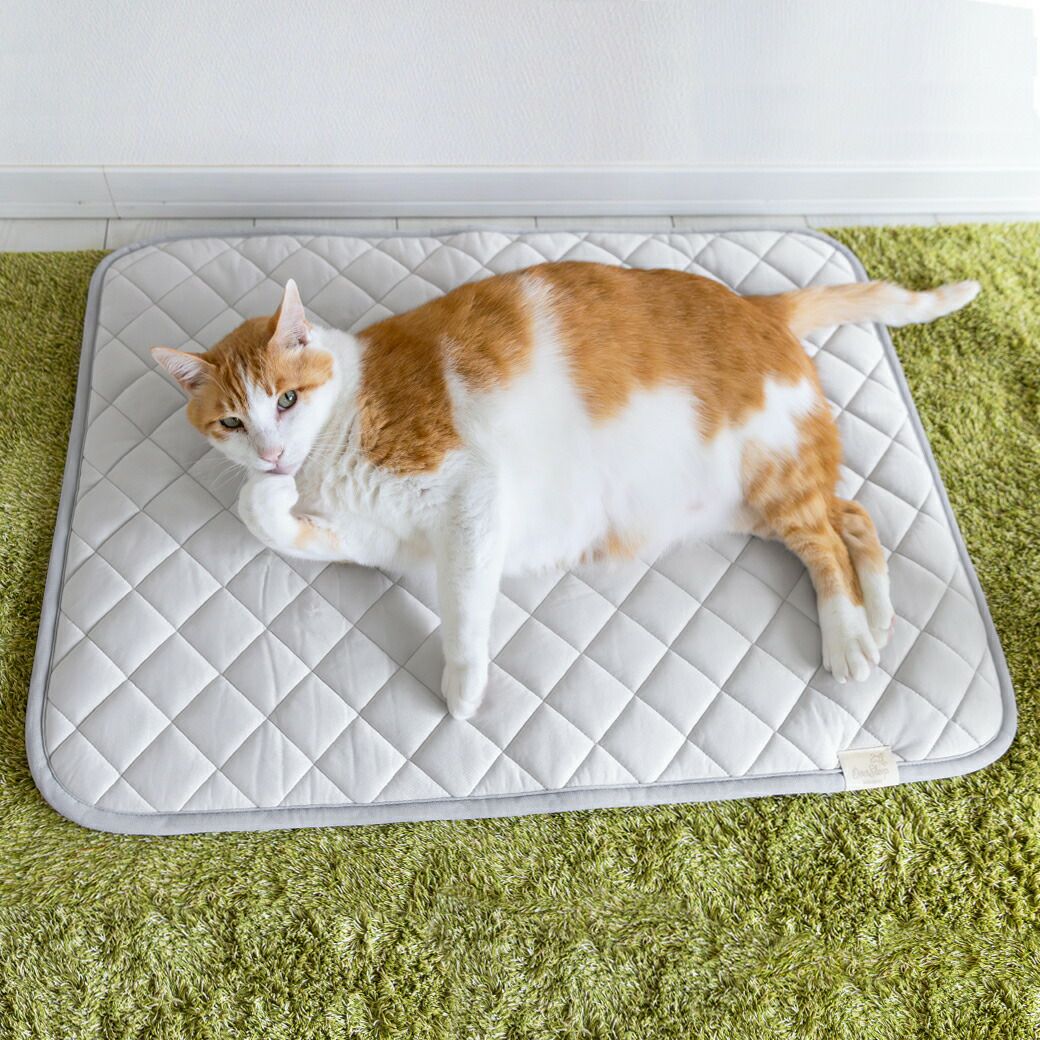 MIX8.6kg(首25/胴54/丈34cm)のゆづるくんはグレーを使用