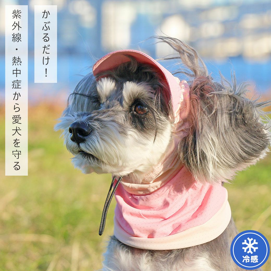 iDog日よけメッシュスヌード接触冷感アイドッグ