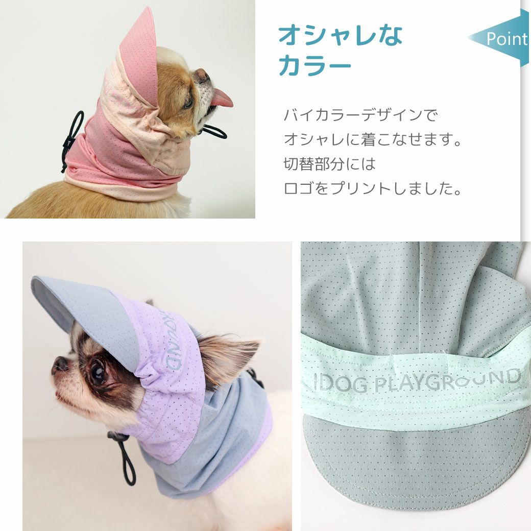 オシャレなカラー