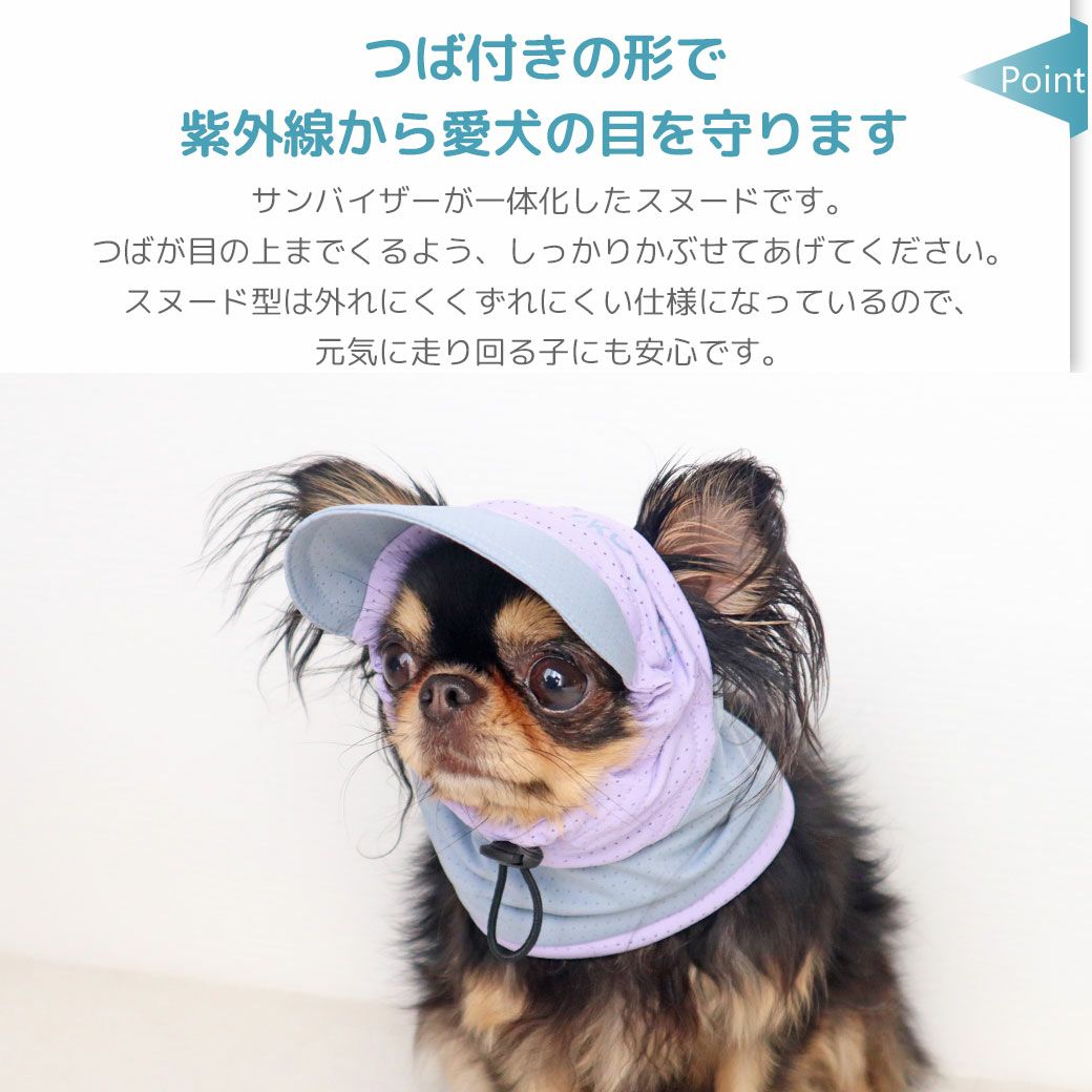 つば付きの形で紫外線から愛犬の目を守ります