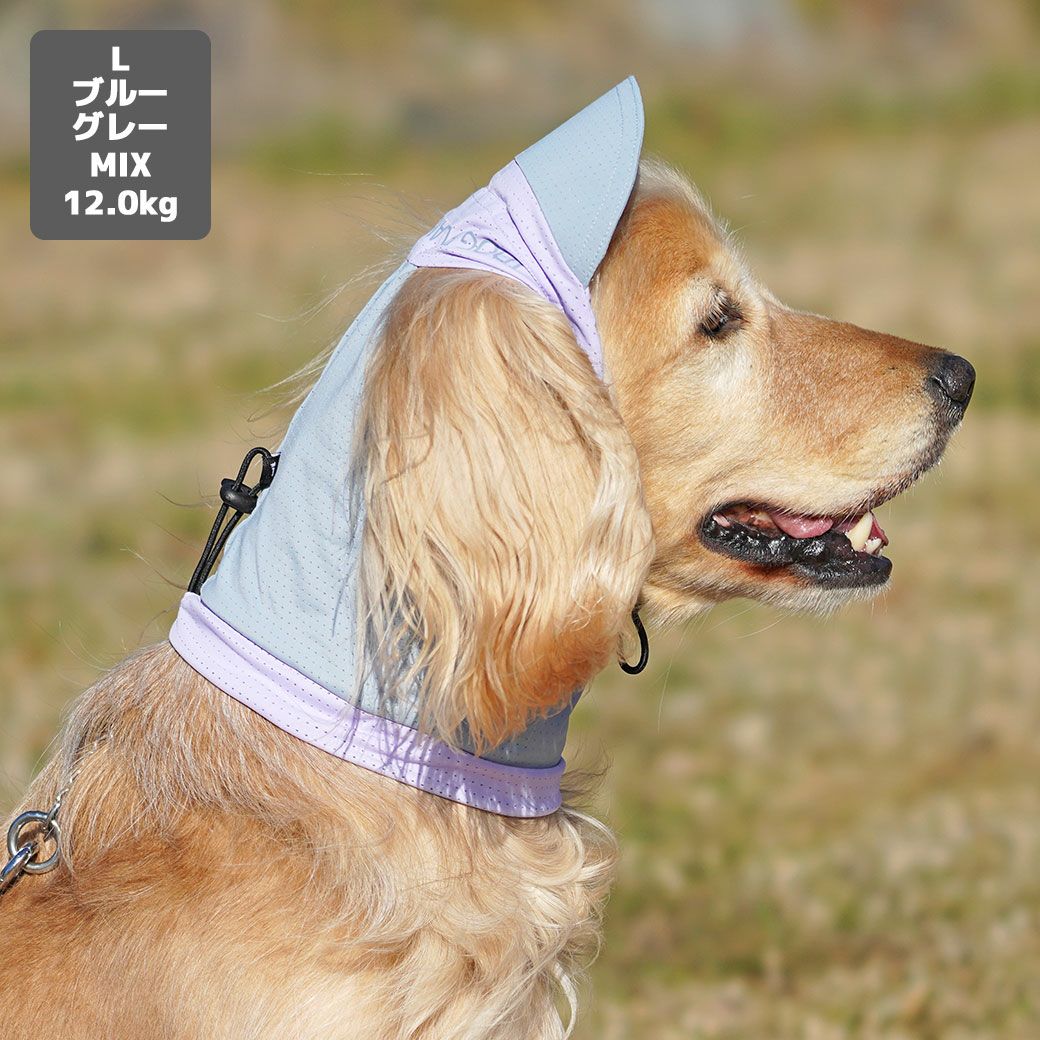 MIX12.0kg(首37/胴53/丈50cm)のクレヨンちゃんはブルーグレーのLを着用