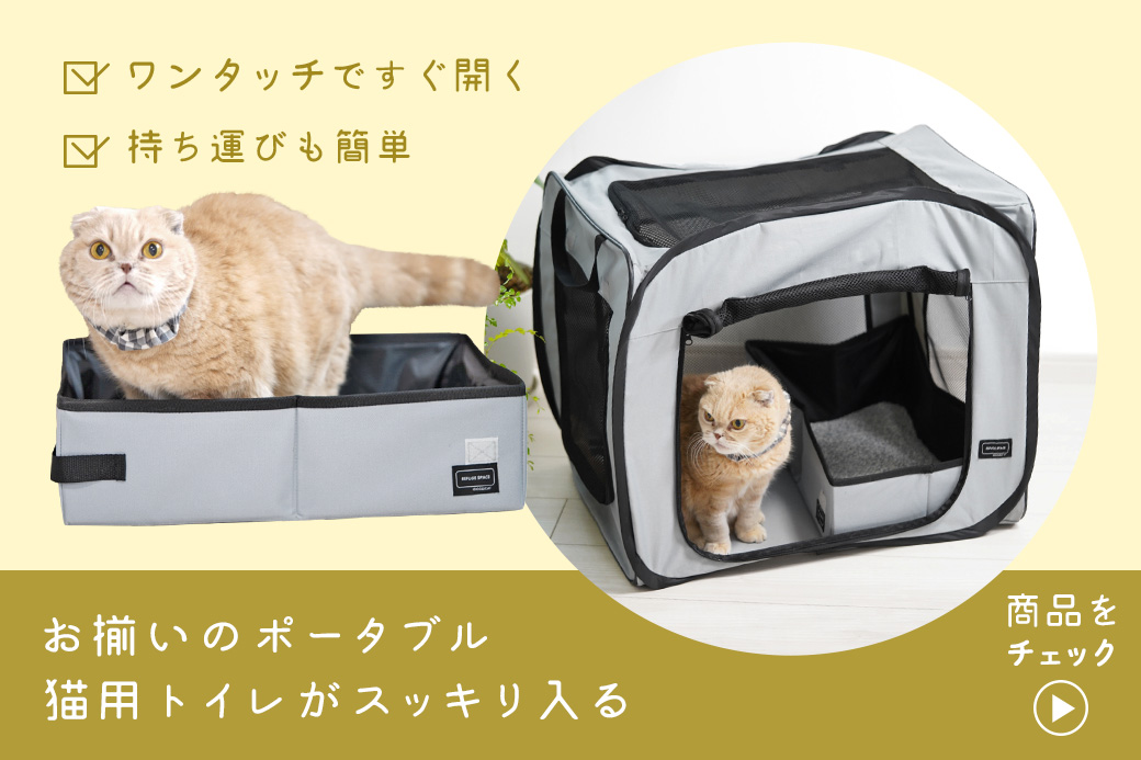 お揃いのポータブル猫用トイレ