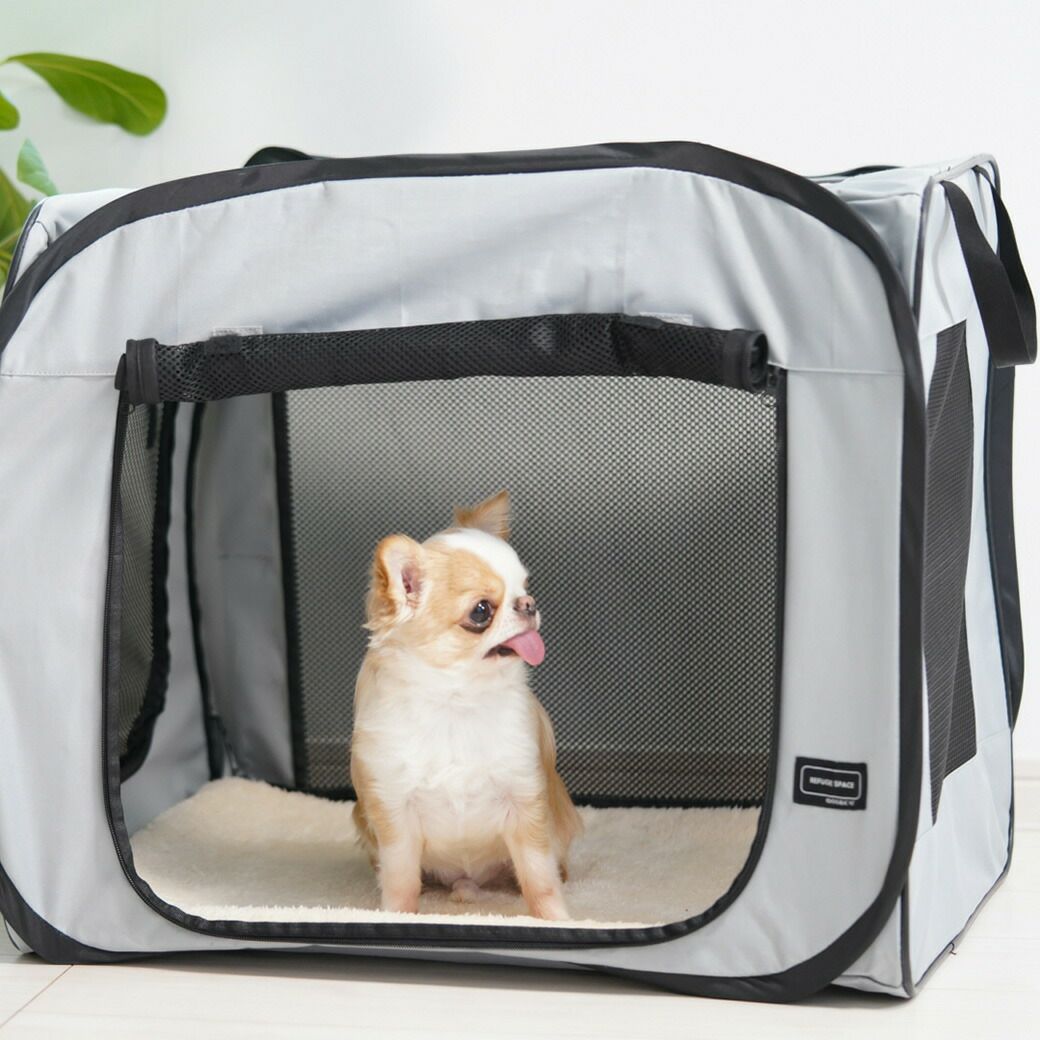 チワワ2.0kgのこつぶが入っても余裕の広さ。