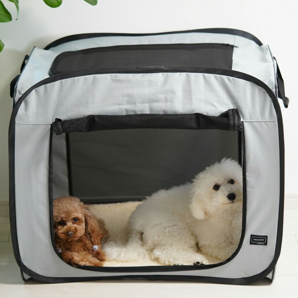 2匹でもくつろげる広さ