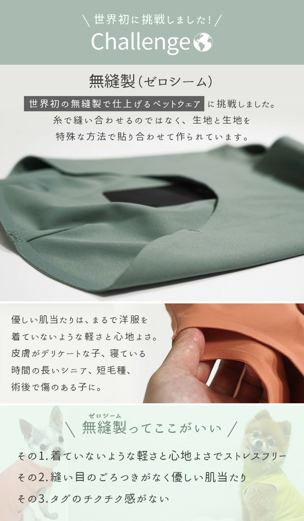 縫い目がない無縫製(ゼロシーム)