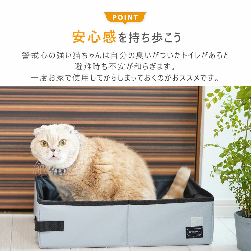 安心感を持ち歩こう