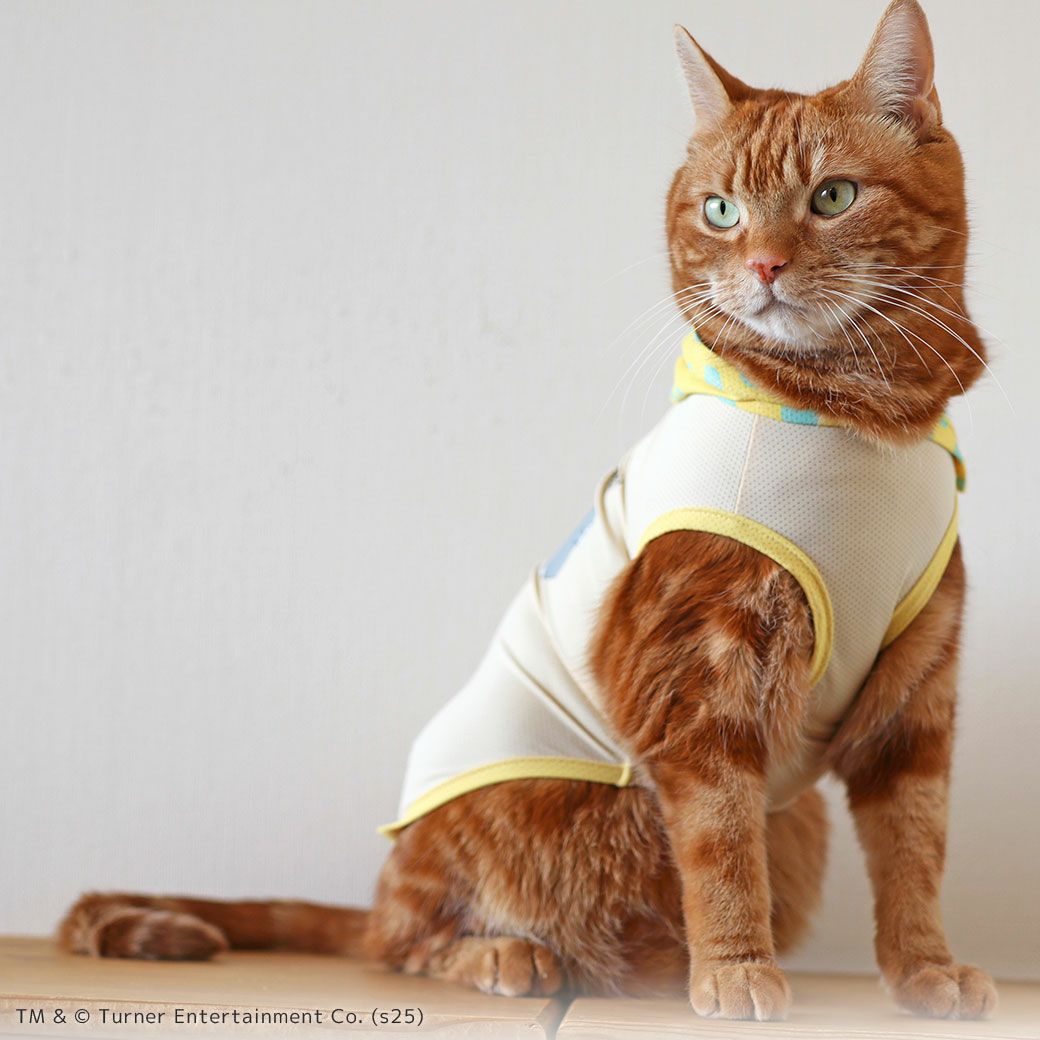 iDogCOOL+MOSCAPETOMandJERRYパーカーアイドッグ