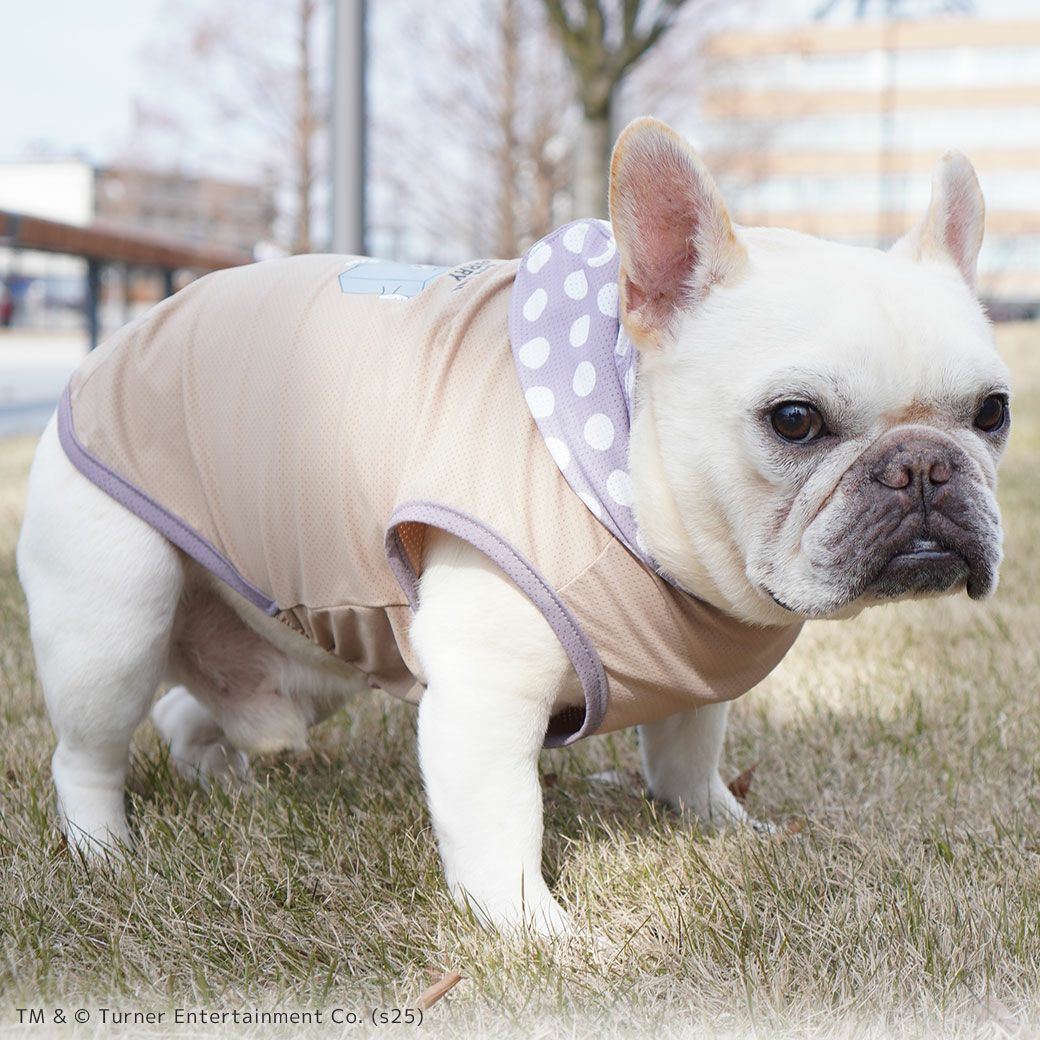iDogCOOL+MOSCAPETOMandJERRYパーカーアイドッグ