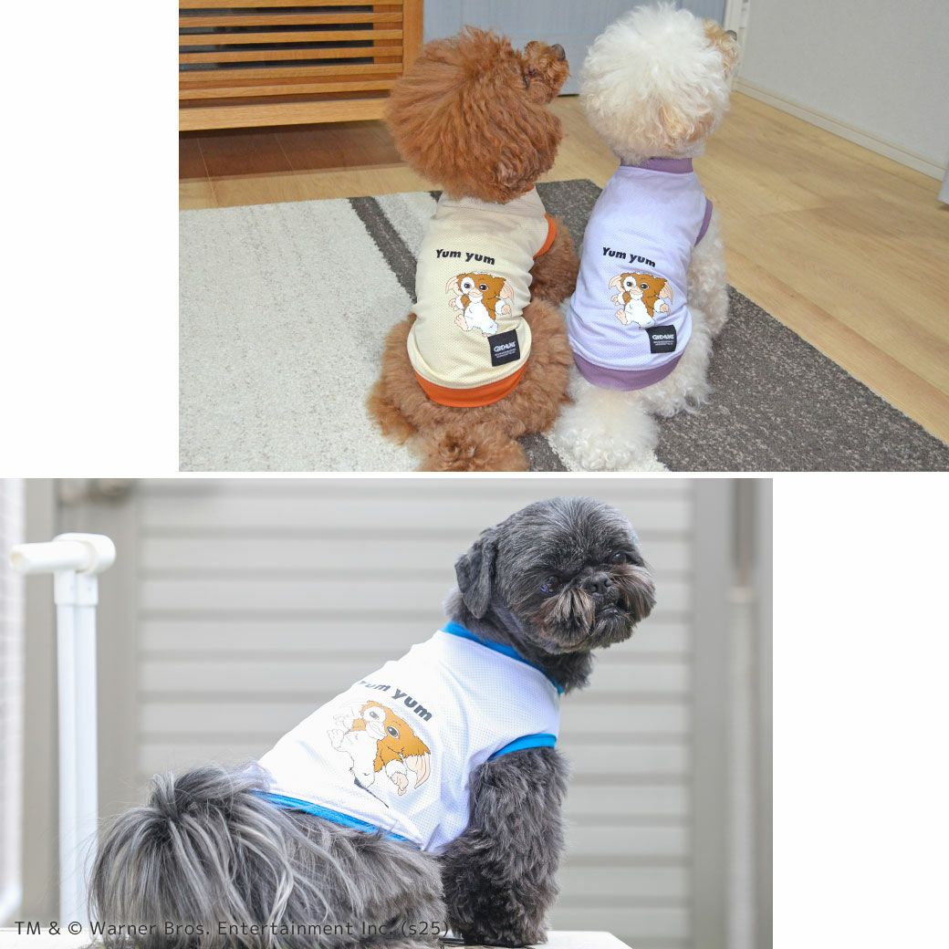 iDogCOOL+MOSCAPEGREMLINSギズモのメッシュタンクアイドッグ