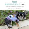 iDogCOOL+MOSCAPEGREMLINSギズモのメッシュタンクアイドッグ