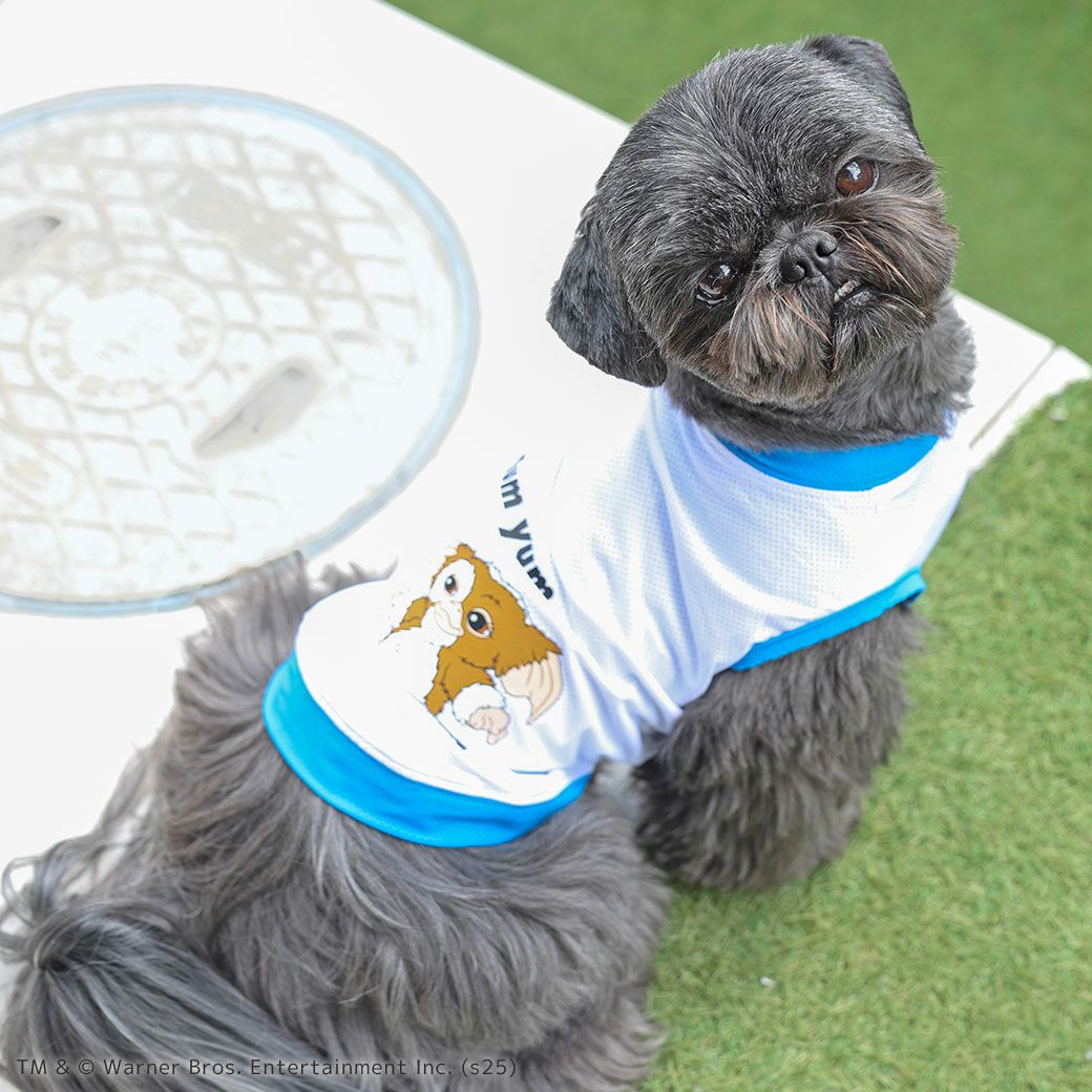 iDogCOOL+MOSCAPEGREMLINSギズモのメッシュタンクアイドッグ