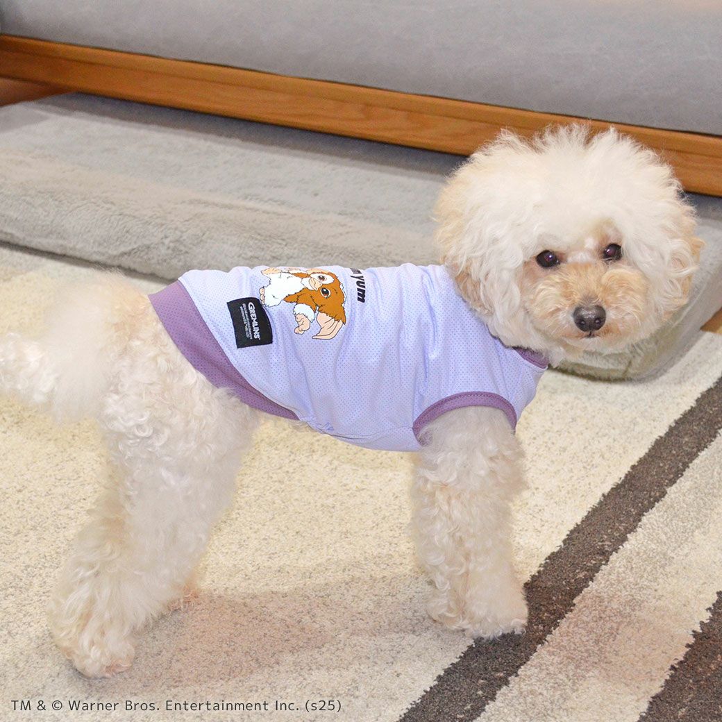 iDogCOOL+MOSCAPEGREMLINSギズモのメッシュタンクアイドッグ