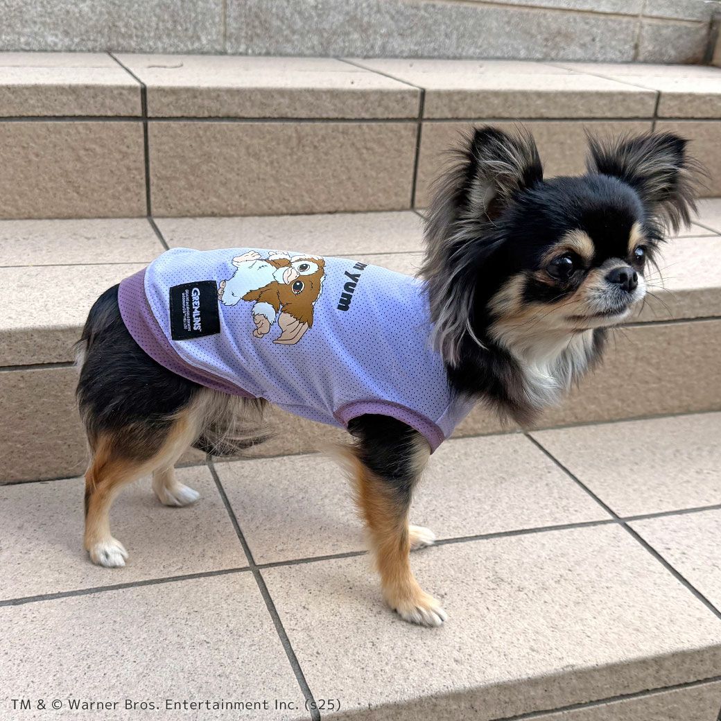 iDogCOOL+MOSCAPEGREMLINSギズモのメッシュタンクアイドッグ