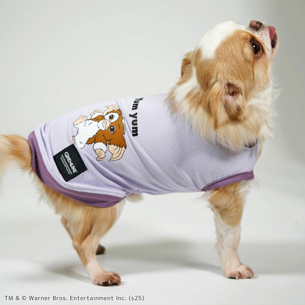 iDogCOOL+MOSCAPEGREMLINSギズモのメッシュタンクアイドッグ