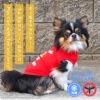 iDogCOOL+MOSCAPETOMandJERRYタンクアイドッグ