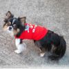 iDogCOOL+MOSCAPETOMandJERRYタンクアイドッグ