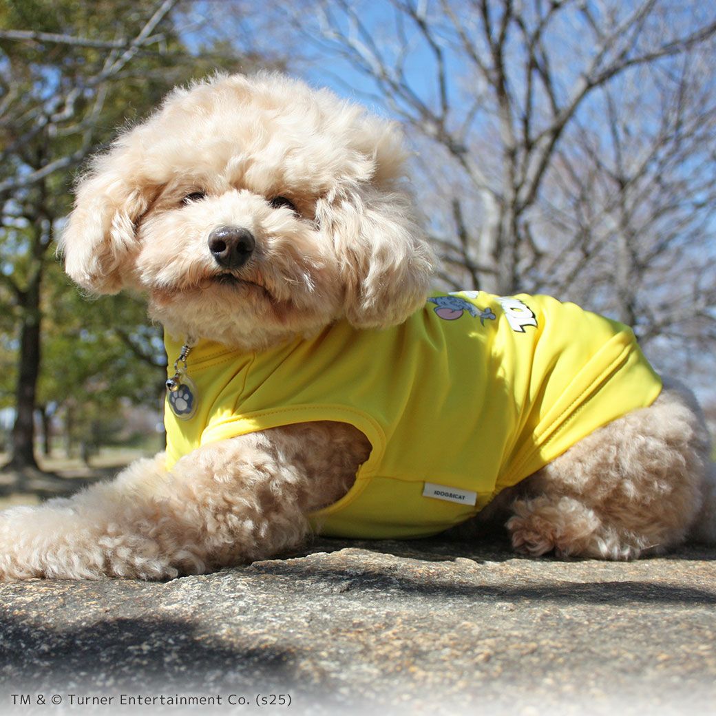 iDogCOOL+MOSCAPETOMandJERRYタンクアイドッグ