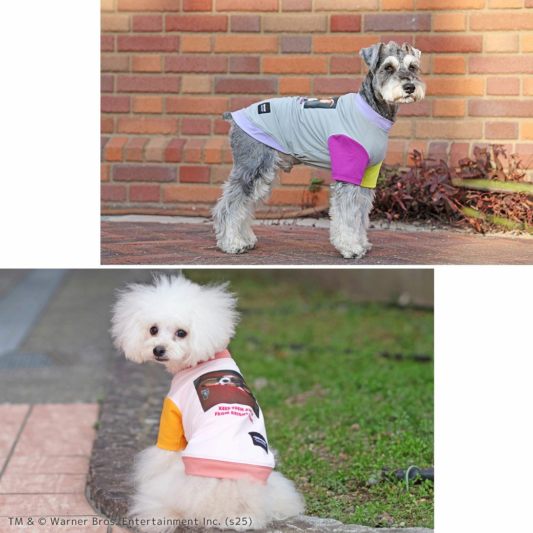 iDogCOOL+MOSCAPEGREMLINSギズモの3つの約束Tシャツアイドッグ