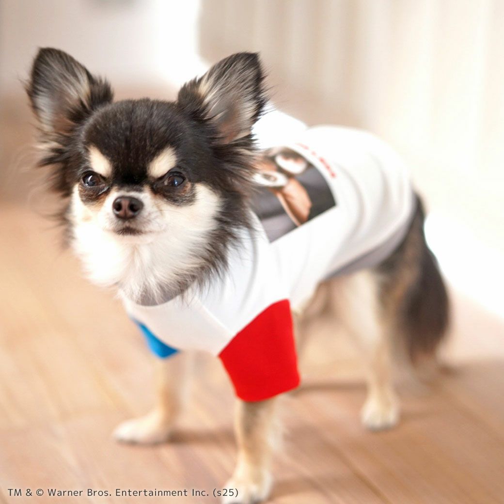 iDogCOOL+MOSCAPEGREMLINSギズモの3つの約束Tシャツアイドッグ