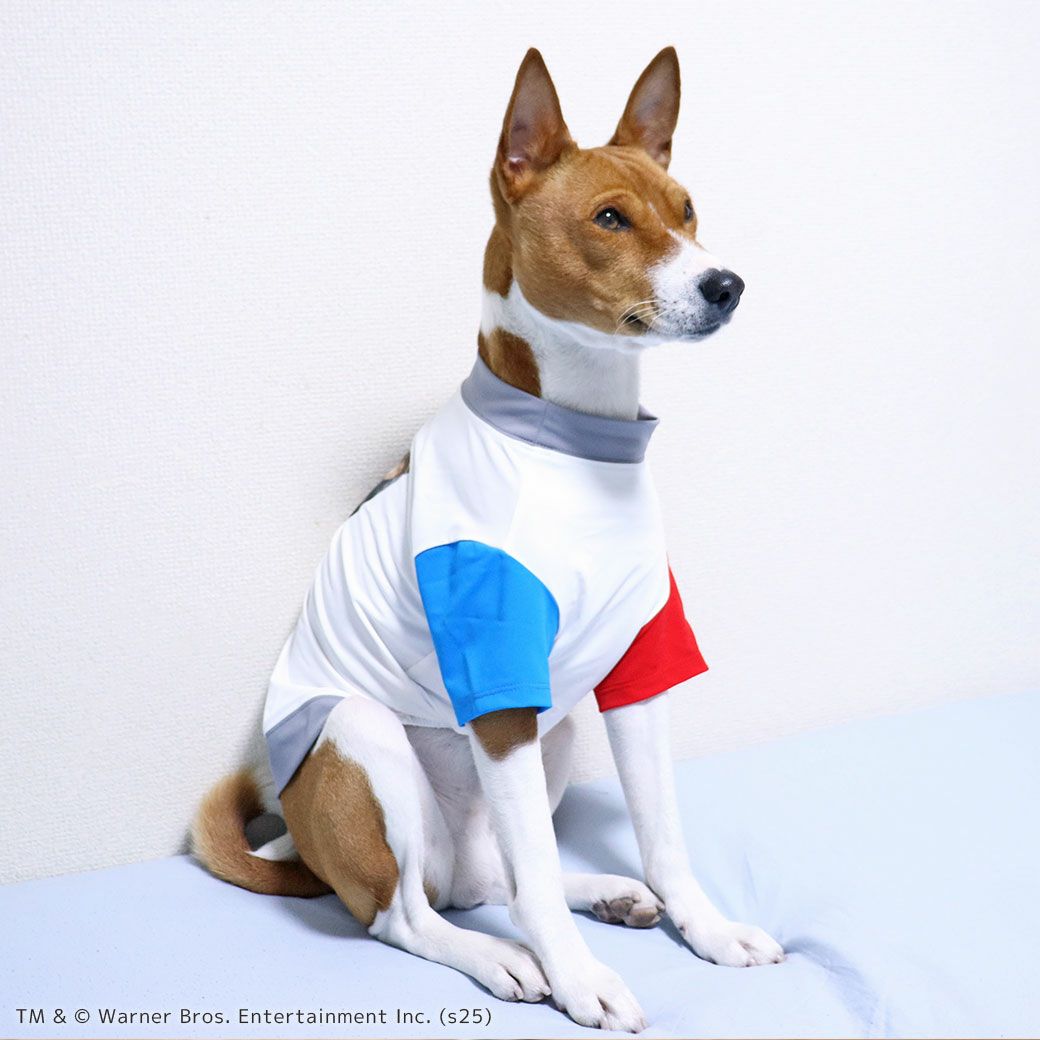 iDogCOOL+MOSCAPEGREMLINSギズモの3つの約束Tシャツアイドッグ