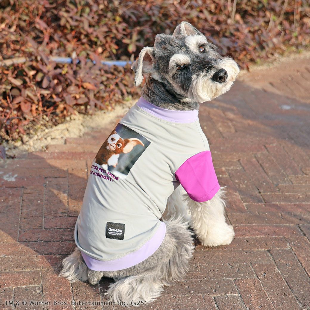 iDogCOOL+MOSCAPEGREMLINSギズモの3つの約束Tシャツアイドッグ