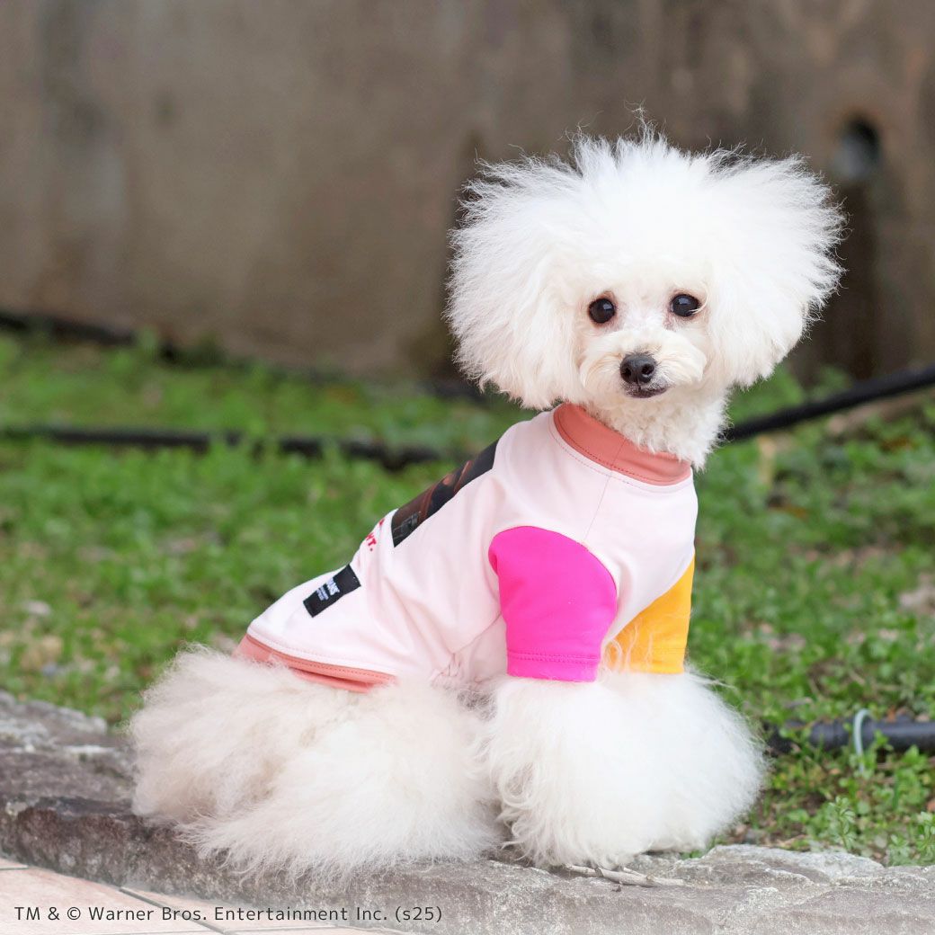 iDogCOOL+MOSCAPEGREMLINSギズモの3つの約束Tシャツアイドッグ