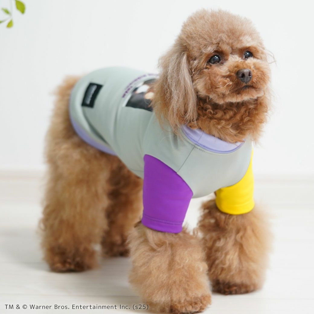 iDogCOOL+MOSCAPEGREMLINSギズモの3つの約束Tシャツアイドッグ