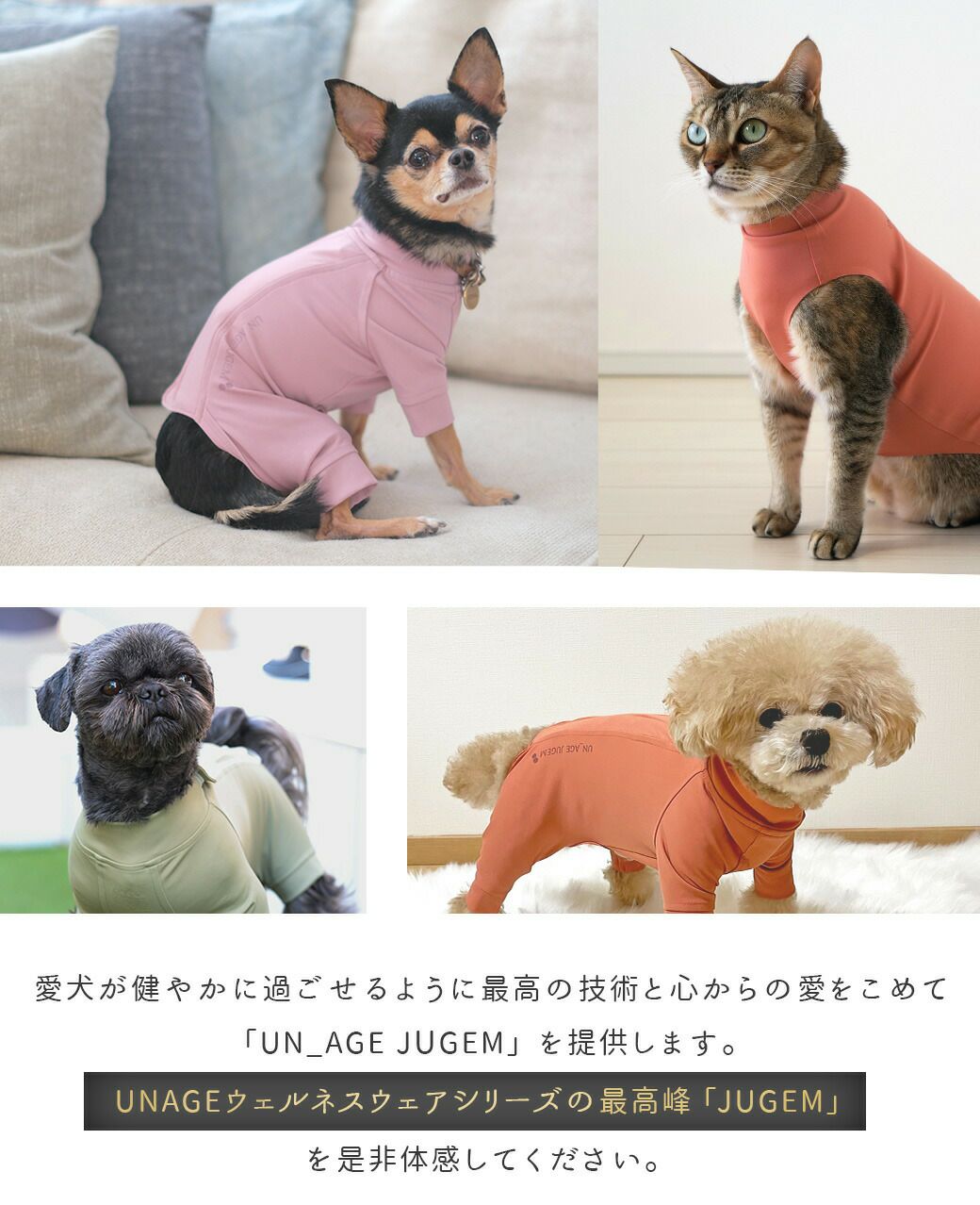 トータルリカバリーウェア