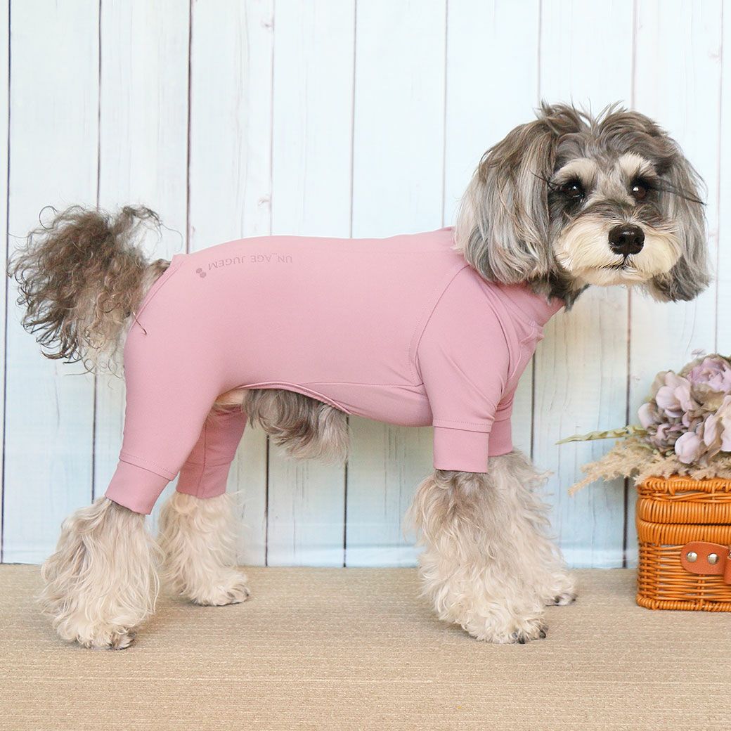 ミニチュアシュナウザー4.8kg(首22/胴39/丈29cm)のあろあちゃんは●のMを着用