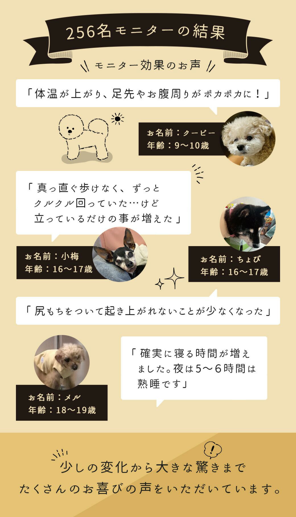 256名モニターの結果