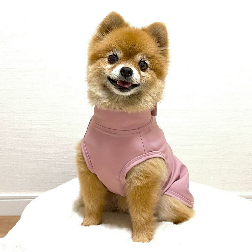 ポメラニアン3.6kg(首27/胴40/丈28cm)のハナちゃんはUNAGEアッシュピンクのLを着用