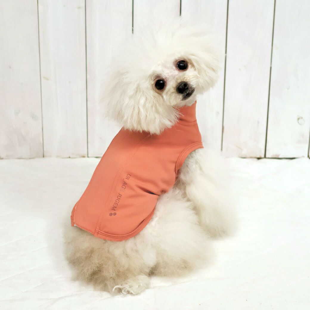 トイプー1.9kg(首17/胴29/丈22cm)のメリナちゃんはコーラルのSを着用