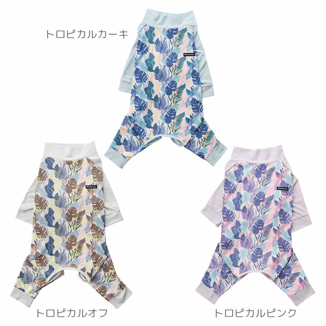 全３カラー