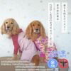 iDogCOOL+MOSCAPE中大型犬用ストレッチカバーオールiHUGEアイドッグ
