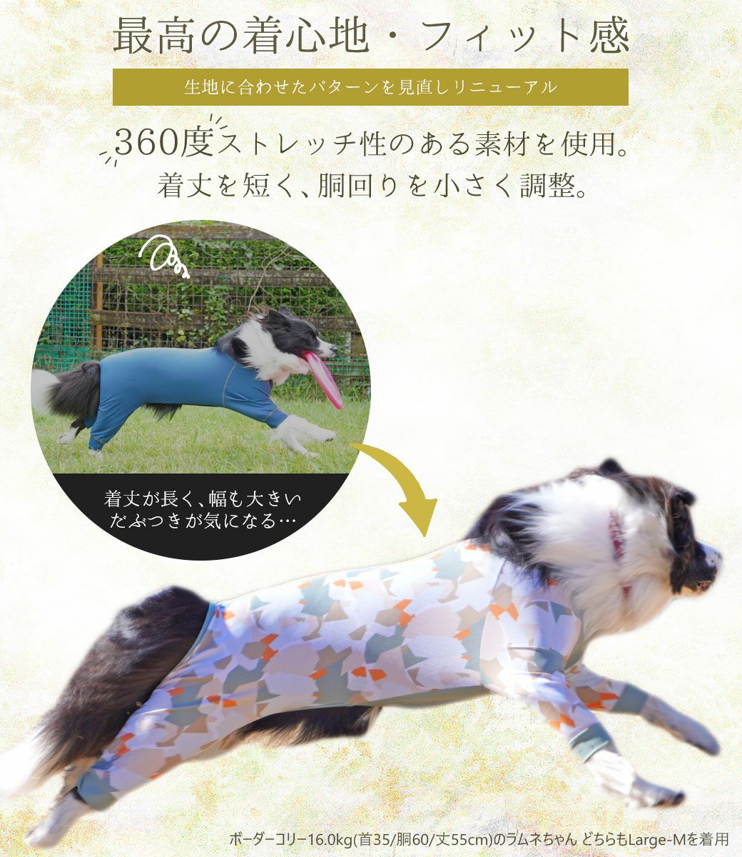 最高の着心地、フィット感でリニューアル