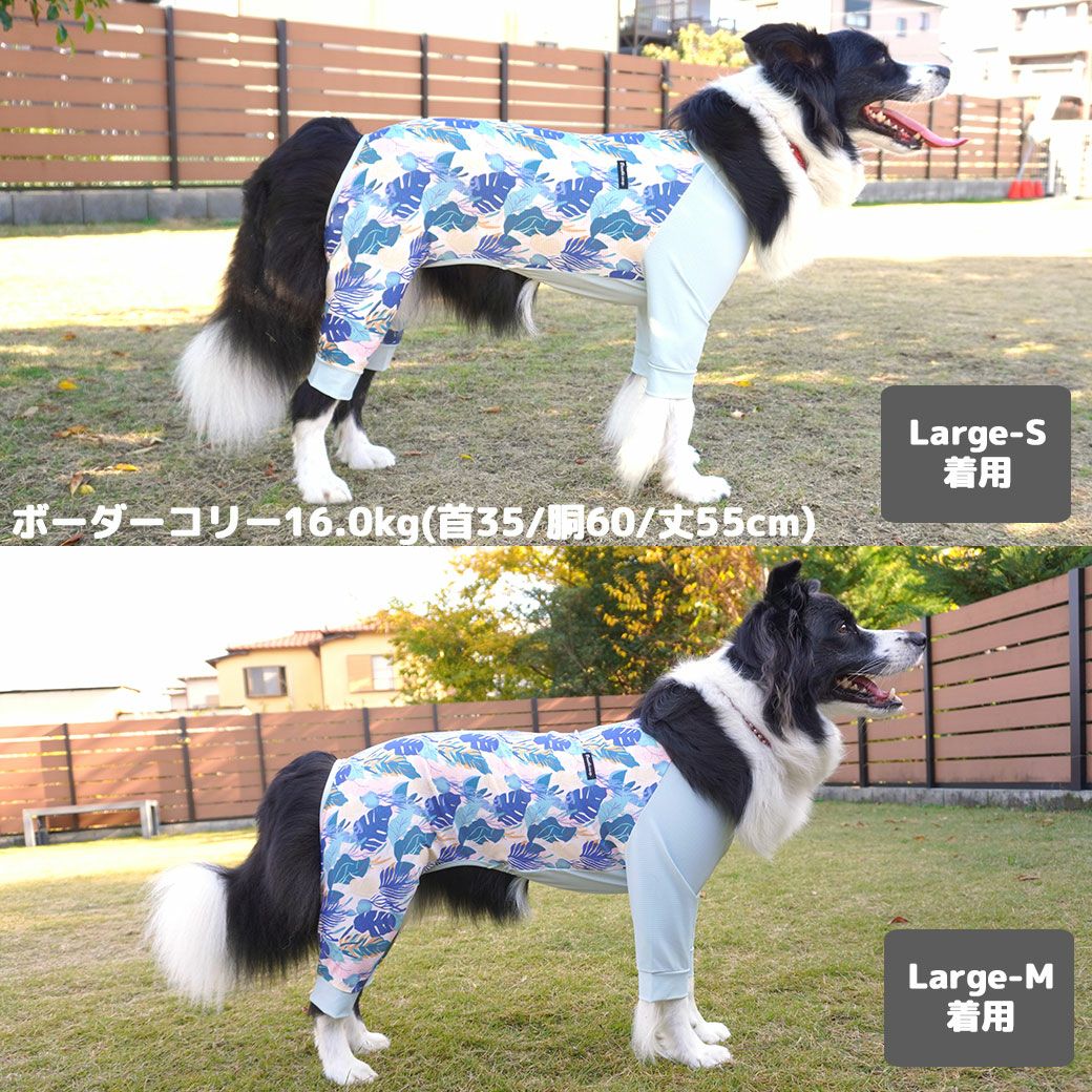 ボーダーコリー16.0kg(首35/胴60/丈55cm)のラムネちゃんはトロピカルカーキのLarge-SとLarge-Mを着用