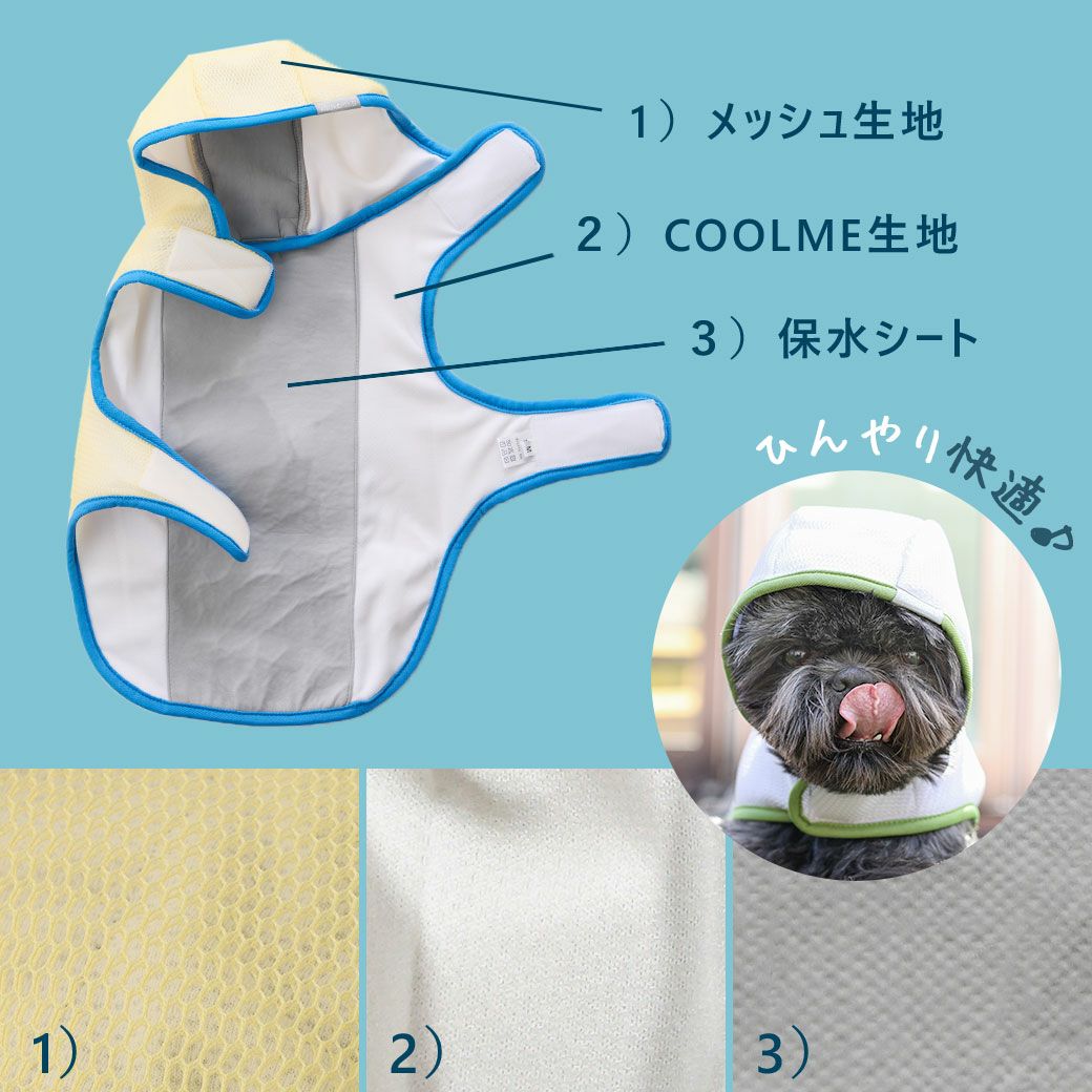 構造説明の図
